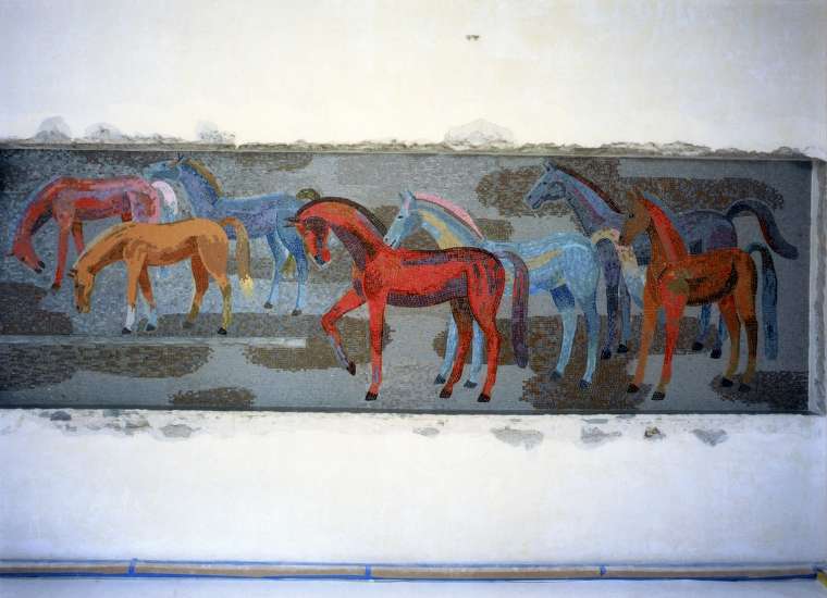 56383_04.jpg