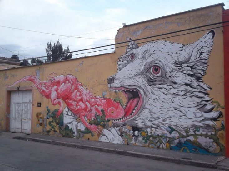ericailcane_cholula01.jpg