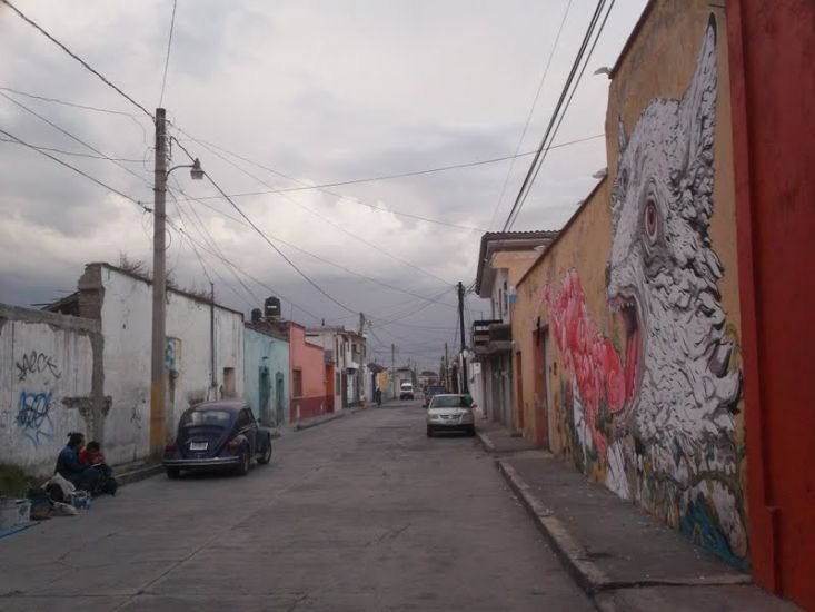 ericailcane_cholula02.jpg