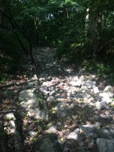 img_1782kl.jpg