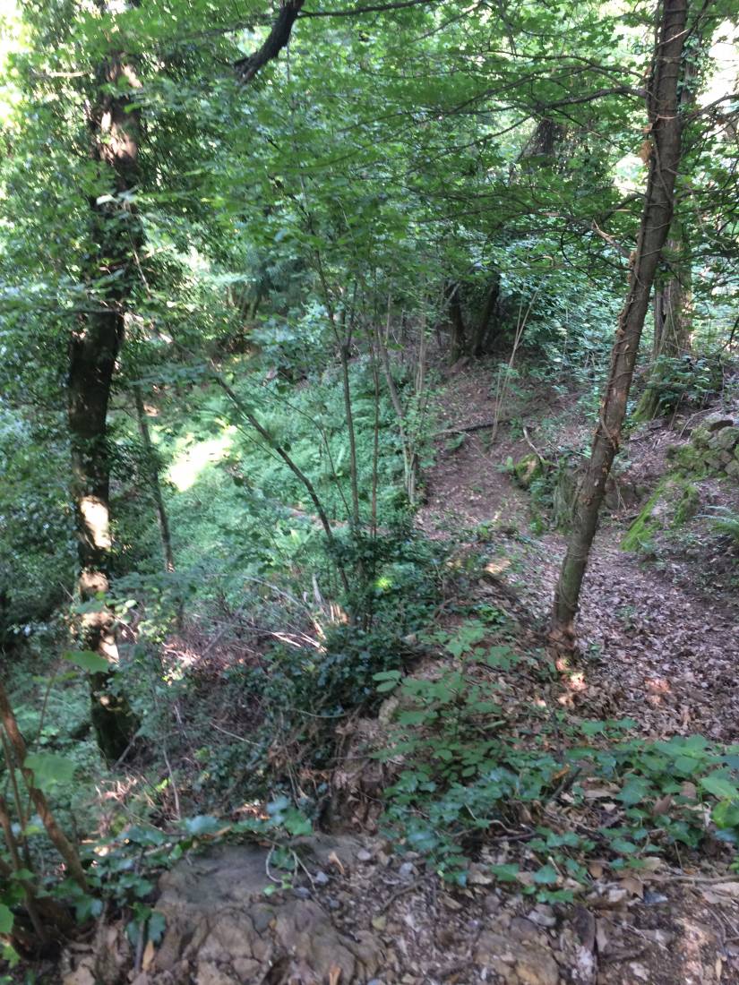 Abstieg nach Ponte Tresa Abbildung Abstieg nach Ponte Tresa