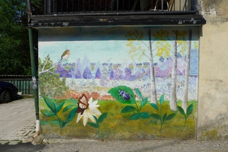 Boarezzo (foto: Alex Winiger, 2017) p1020564kl.jpg