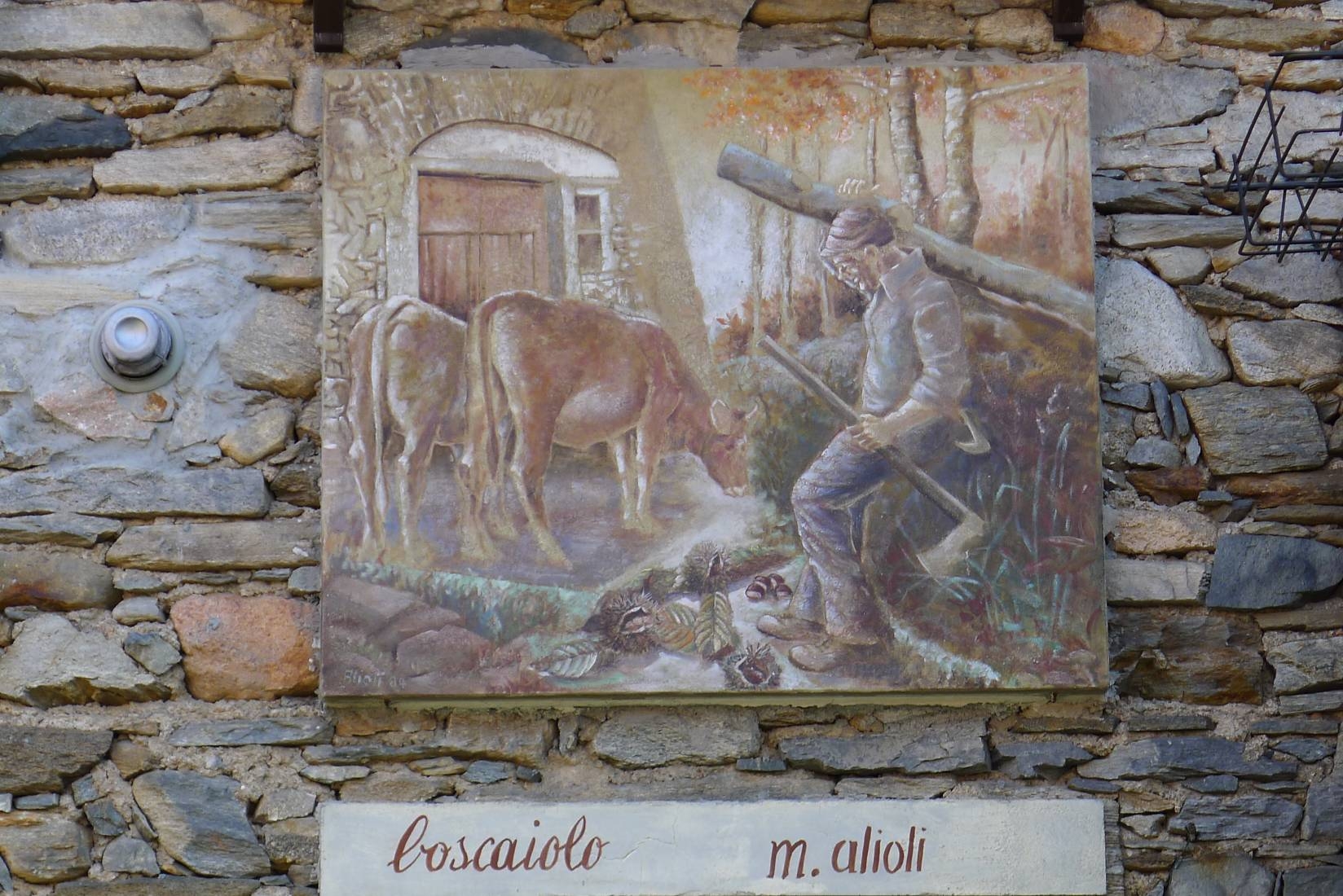 p1020572.jpg