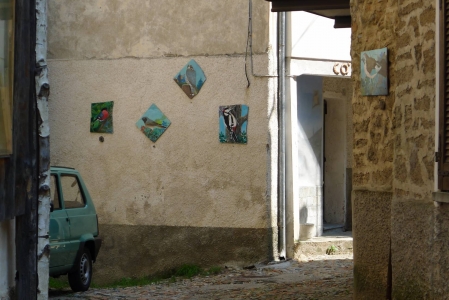 Boarezzo (foto: Alex Winiger, 2017) p1020592kl.jpg