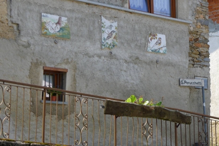 Boarezzo (foto: Alex Winiger, 2017) p1020602kl.jpg