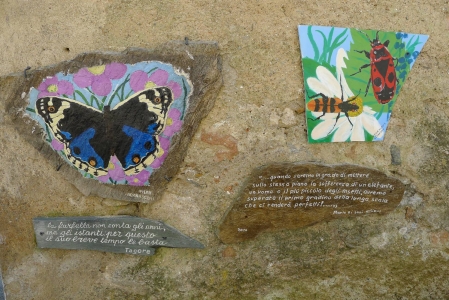 Boarezzo (foto: Alex Winiger, 2017) p1020628kl.jpg