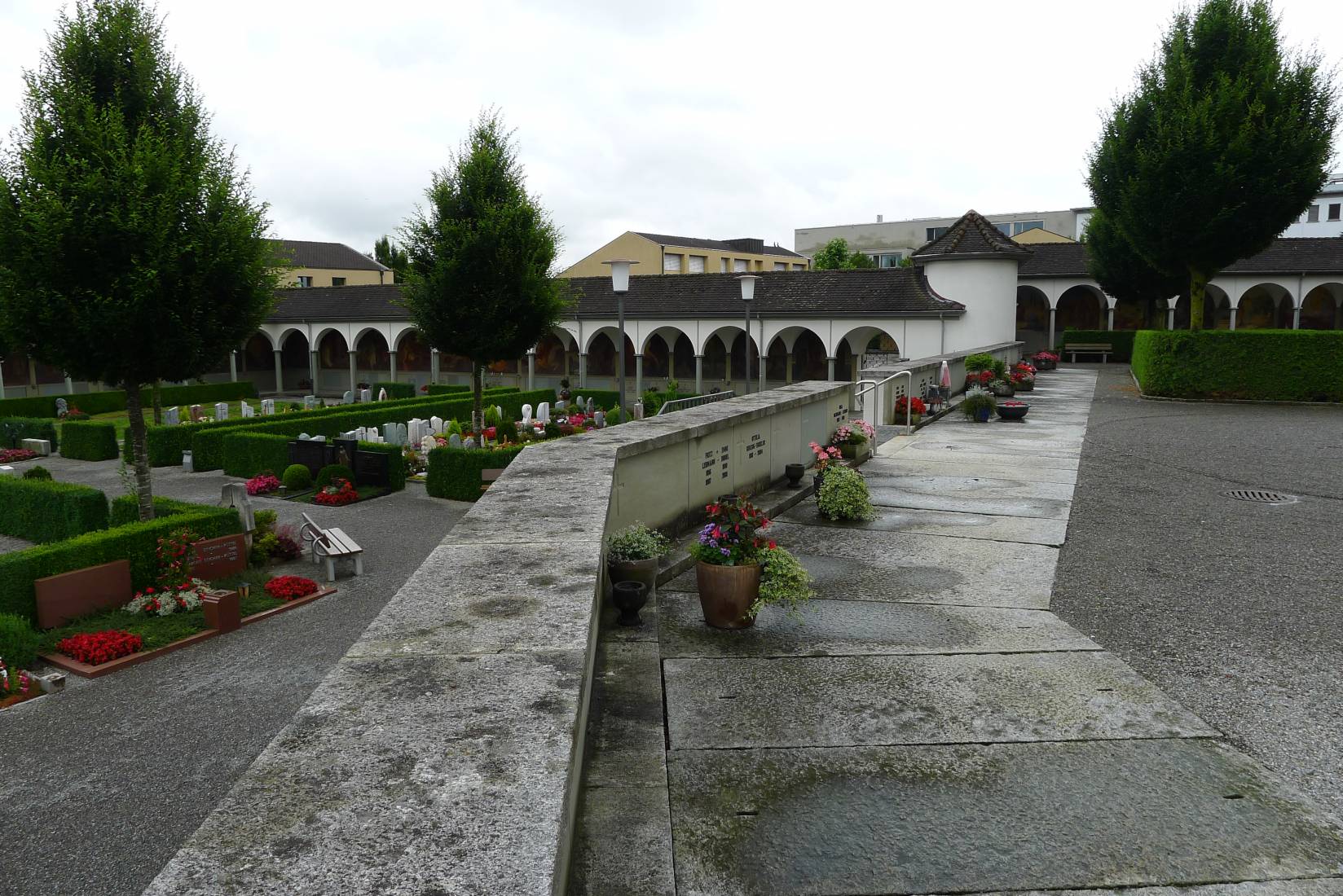 p1080748.jpg